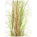 Europalms Grass bush, 150cm, Sztuczna trawa 2/3