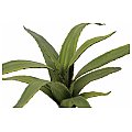 Europalms Aloe (EVA), green, 66cm, Sztuczna roślina 2/2