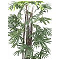 Europalms Raphispalmtree, 120cm, Sztuczna roślina 2/2