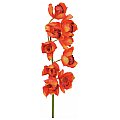 Europalms Cymbidiumspray, red, 90cm, Sztuczny kwiat 2/2