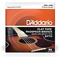 D'Addario EFT13 Flat Tops Phosphor Bronze Struny do gitary akustycznej, gitara rezofoniczna, 16-56 2/4