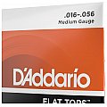D'Addario EFT13 Flat Tops Phosphor Bronze Struny do gitary akustycznej, gitara rezofoniczna, 16-56 4/4