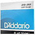 D'Addario EFT16 Flat Tops Phosphor Bronze Struny do gitary akustycznej, Light, 12-53 4/4