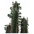 EUROPALMS Meksykański kaktus z liśćmi, sztuczna roślina, 75 cm 2/5