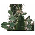 EUROPALMS Meksykański kaktus z liśćmi, sztuczna roślina, 75 cm 3/5