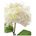 Europalms Hydragena spray, cream, 76cm, Sztuczny kwiat 2/5
