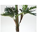 EUROPALMS Palma ogrodowa, sztuczna roślina, 210 cm 2/4