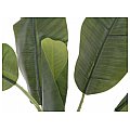 EUROPALMS Drzewo bananowe, sztuczna roślina, 100 cm 2/3
