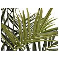EUROPALMS Kentia palm tree, artificial plant, 300cm Sztuczna palma 3/5