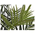 EUROPALMS Kentia palm tree, artificial plant, 300cm Sztuczna palma 4/5