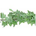 Europalms Ivy-garland, green, 180cm  Sztuczna roślina 2/2