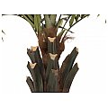 EUROPALMS Kentia palm tree deluxe, artificial plant, 300cm Sztuczna palma 3/4