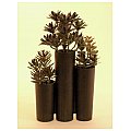 Europalms Succulent trio, 43cm, Sztuczna roślina 2/2