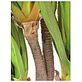 Europalms Sabre-tooth century plant, 185cm, Sztuczna roślina 3/3