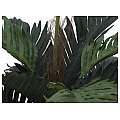 EUROPALMS Palma kokosowa, sztuczna roślina, 90 cm 2/2