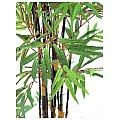 Europalms Bamboo black trunk, 210cm, Sztuczna roślina 3/3