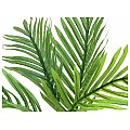 EUROPALMS Sadzonka palmy Areca, sztuczna roślina, 60 cm 2/2