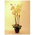 Europalms Orchid, white, 80cm, Sztuczny kwiat 2/3