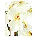 Europalms Orchid, white, 80cm, Sztuczny kwiat 3/3