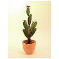 Europalms Cactus with flower, 77cm, Sztuczny kaktus 2/3
