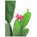 Europalms Cactus with flower, 77cm, Sztuczny kaktus 3/3