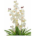 Europalms Orchid, white, with leaves, 80cm, Sztuczny kwiat 2/2