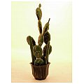 Europalms Sztuczny kaktus Cactusmix 54cm 2/2