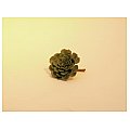 Europalms Echeveria cactus, 15cm, Sztuczny kaktus 2/2