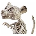 EUROPALMS Dekoracje na Halloween Szkielet szczura 32x10x16cm 2/3