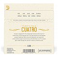 D'Addario EJ96 Cuatro-Puerto Rico Strings 3/4