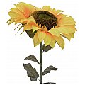 EUROPALMS Słonecznik, sztuczny kwiat, 130 cm 2/3