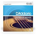 D'Addario EJ16 Phosphor Bronze Struny do gitary akustycznej, Light, 12-53 2/4