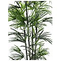 Europalms Fan Palm seedling, 150cm Sztuczna palma 2/2