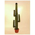 Europalms Mexican Cactus, green, 170cm, Sztuczny kaktus 2/3