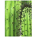 Europalms Mexican Cactus, green, 170cm, Sztuczny kaktus 3/3