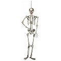 EUROPALMS Wiszący szkielet - postać na Halloween 150 cm 2/5