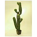 Europalms Mexican cactus, 170cm, Sztuczny kaktus 2/4