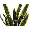 Europalms Sztuczna Sansevieria (EVA), green-yellow, 50cm, Sztuczna roślina 2/2
