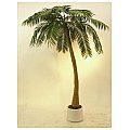Europalms Palm, 1-trunk, 300cm Sztuczna palma 2/4