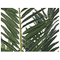 EUROPALMS Palma Phoenix, sztuczna roślina, 240 cm trudnopalna 2/5