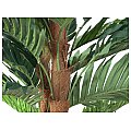 EUROPALMS Kentia palma, sztuczna roślina, 120 cm 3/4