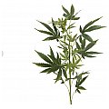 EUROPALMS Cannabis-spra, textile, 90cm 2/3