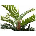 EUROPALMS Kentia palma, sztuczna roślina, 150 cm 2/4