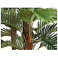 EUROPALMS Kentia palma, sztuczna roślina, 150 cm 3/4