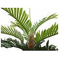 EUROPALMS Kentia palma, sztuczna roślina, 180 cm 4/4