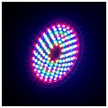 ADJ Startec Rayzer Multiefekt świetlny Laser RGB + Wash / strobo RGB 2/9