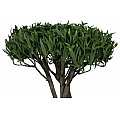 EUROPALMS Drzewo bonsai, wielopień, sztuczna roślina, 130 cm 2/3