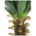Europalms Yucca palm, 165cm Sztuczna palma 3/3