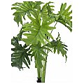 Europalms Split Philo Plant, 90cm, Sztuczna roślina 2/2