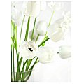 EUROPALMS Kryształowy tulipan, sztuczny kwiat, biały 61 cm 12x 4/5